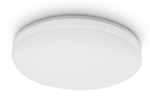 LED GLOBE LIGHT,30W, CIRCLE SHAPE, SURFACE MOUNTED, CGB MODEL